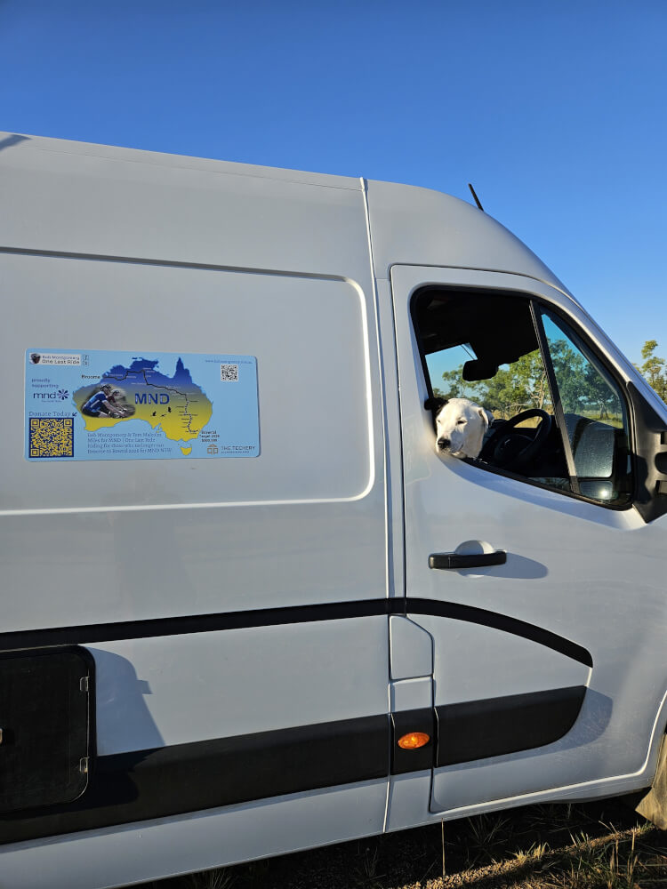 Lucky waits for the riders Lucky looking through the driver's window of the support van beside the highway