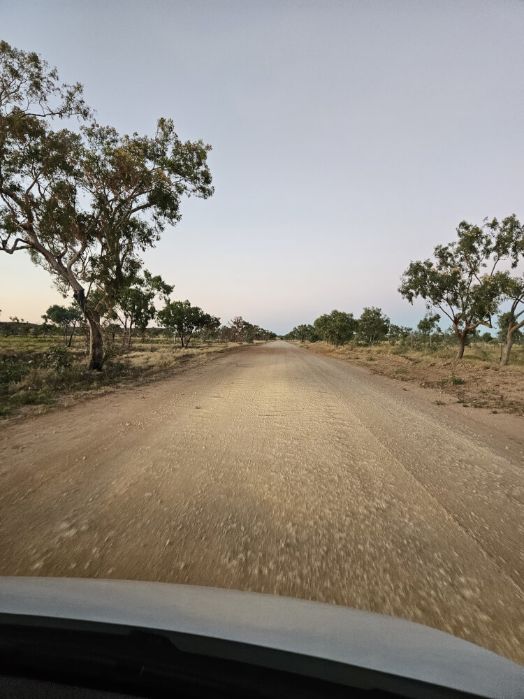 Another Kimberley Painting Gravel road through trees and pale Kimberley landscape at sunrise
