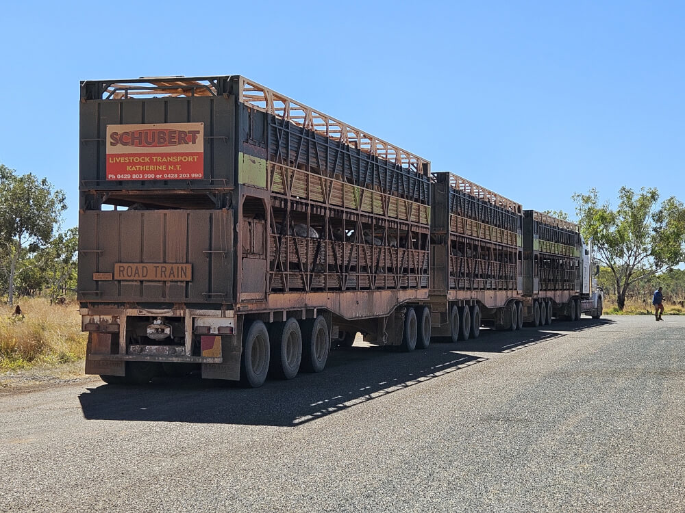 Kimberley Cattle Road Train Large cattle road train stopped beside the Great Northern Highway