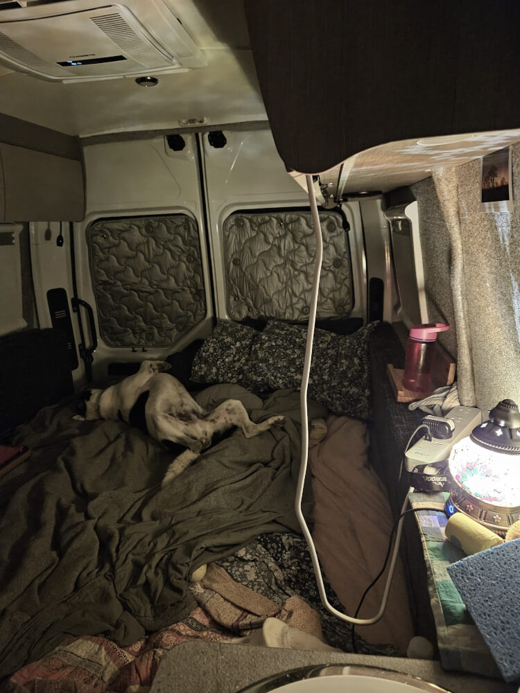 Lucky Sleeping at Warmun Lucky asleep in the support van while I write postcards