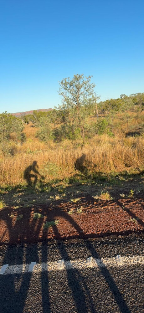 Bob and Tom’s Giant Cycling Shadows Long shadows of Bob and Tom riding their bicycles beside the highway
