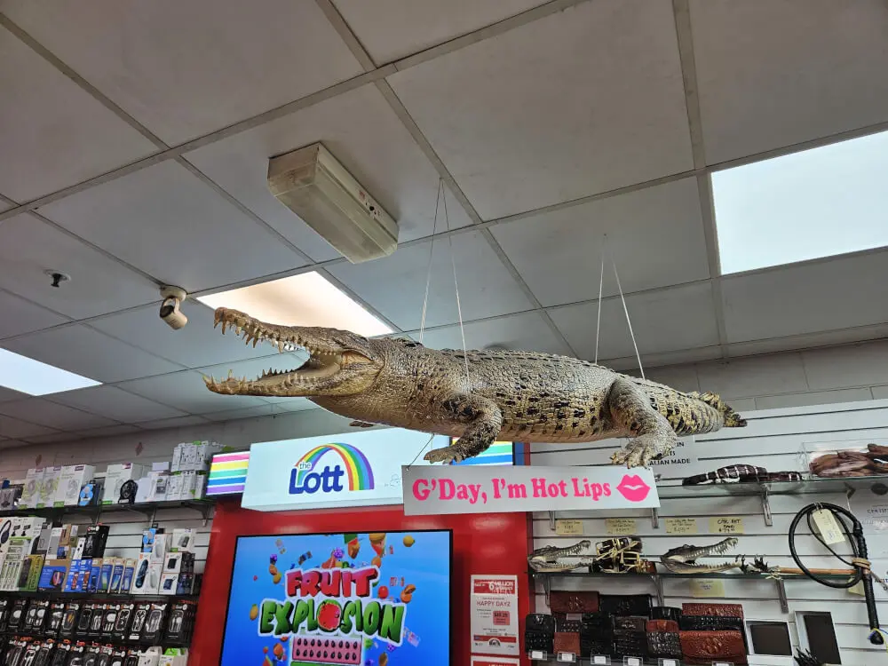 Hot Lips the Crocodile Large suspended crocodile display above a lottery counter with a sign reading G'Day, I'm Hot Lips